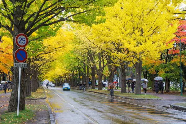 Ένα Από Πιο Διάσημο Δέντρο Ιαπωνικά Φθινόπωρο Είναι Ginkgo Και — Φωτογραφία Αρχείου
