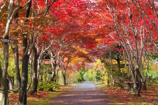 Αυτή Φωτογραφία Τραβήχτηκε Από Hiraoka Tree Art Center Στο Sapporo — Φωτογραφία Αρχείου