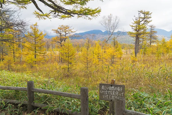 Nikko Bien Conocida Por Belleza Escénica Rodeada Atracciones Naturales Como — Foto de Stock