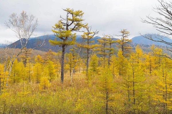 Nikko is well known for its scenic beauty surrounded by natural attractions such as mountains, marshlands, and lakes. It is also very popular for those who love to hiking or trekking. This photo was shot in autumn.