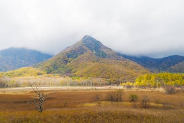 Nikko dağlar, bataklıklar ve göller gibi doğal konumlar çevrili doğal güzelliğiyle ünlüdür. Ayrıca yürüyüş veya trekking için sevenler için çok popüler. Bu fotoğraf sonbaharda vuruldu.