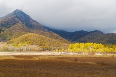 Nikko dağlar, bataklıklar ve göller gibi doğal konumlar çevrili doğal güzelliğiyle ünlüdür. Ayrıca yürüyüş veya trekking için sevenler için çok popüler. Bu fotoğraf sonbaharda vuruldu.
