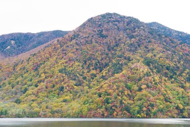Lake Chuzenji Nikko şehir yukarıdaki dağlarda doğal bir göldür. Mount Nantai, kimin Erüpsiyonu aşağıda, böylece yaklaşık 20.000 yıl önce göl Chuzenji oluşturma Vadisi bloke Nikko'nın kutsal yanardağ eteklerinde yer alır. Bu fotoğraf