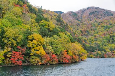 Lake Chuzenji Nikko şehir yukarıdaki dağlarda doğal bir göldür. Mount Nantai, kimin Erüpsiyonu aşağıda, böylece yaklaşık 20.000 yıl önce göl Chuzenji oluşturma Vadisi bloke Nikko'nın kutsal yanardağ eteklerinde yer alır. Bu fotoğraf