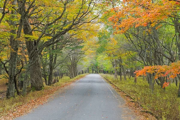 Nikko Est Bien Connu Pour Beauté Pittoresque Entourée Attractions Naturelles — Photo