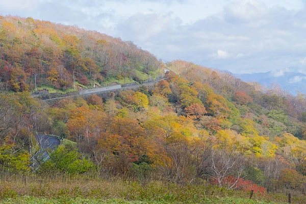 Kirifuri Highland Oblast Jihovýchodní Straně Hory Akanagi Nachází Severu Rozmezí — Stock fotografie