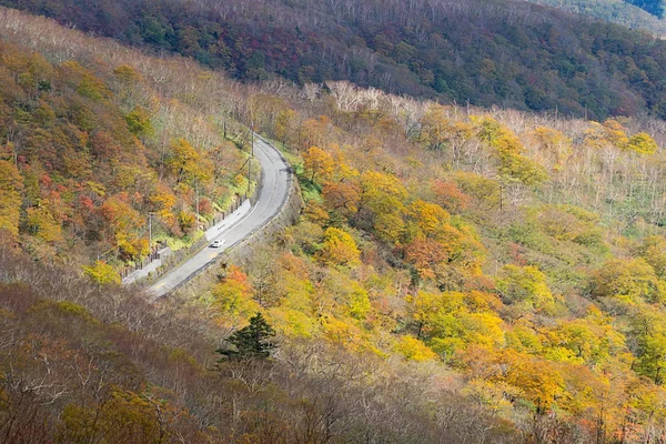 Planalto Kirifuri Área Lado Sudeste Monte Akanagi Ele Está Localizado — Fotografia de Stock