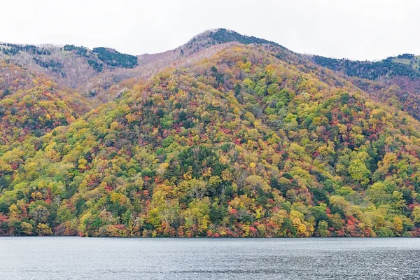 닛코의 호수입니다 그것은 마운트 Nantai 닛코의 신성한 20000 계곡에 있습니다 — 스톡 사진