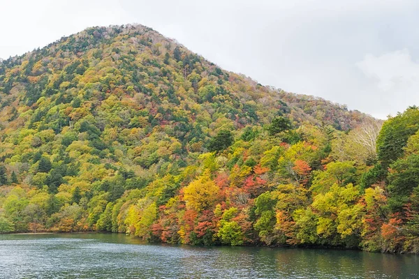 Lake Chuzenji Nikko şehir yukarıdaki dağlarda doğal bir göldür. Mount Nantai, kimin Erüpsiyonu aşağıda, böylece yaklaşık 20.000 yıl önce göl Chuzenji oluşturma Vadisi bloke Nikko'nın kutsal yanardağ eteklerinde yer alır. Bu fotoğraf