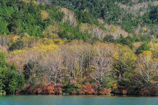 Jezero Yunoko Malé Jezero Severně Senjogahara Marsh Nachází Asi Severo — Stock fotografie