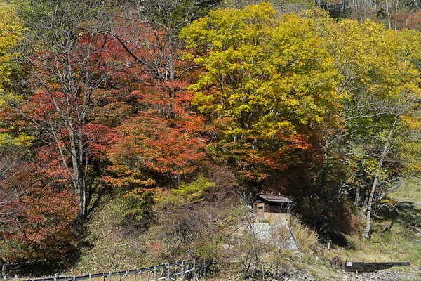 Yumoto Uma Pequena Cidade Termal Localizada Parte Trás Okunikko Parte — Fotografia de Stock