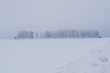 Biei yavaşça inişli çıkışlı tepeler ve geniş alanlar pitoresk bir manzara tarafından çevrili küçük bir kasabadır. Bisiklete binme ya da üzerinden tepeler sürüş ve bazı çiçek alanları ve ünlü ağaçları boyunca ziyaret Biei cazibe zevk için iyi bir ölüm yolu gereğidir