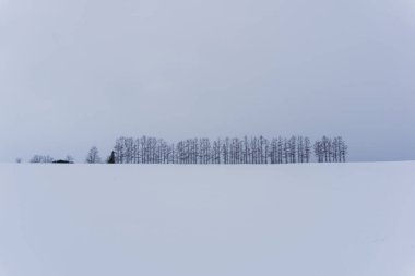 Biei yavaşça inişli çıkışlı tepeler ve geniş alanlar pitoresk bir manzara tarafından çevrili küçük bir kasabadır. Bisiklete binme ya da üzerinden tepeler sürüş ve bazı çiçek alanları ve ünlü ağaçları boyunca ziyaret Biei cazibe zevk için iyi bir ölüm yolu gereğidir
