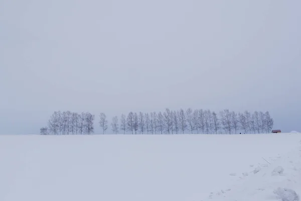 Biei Malé Město Obklopené Malebnou Krajinu Mírně Zvlněné Kopce Obrovské — Stock fotografie