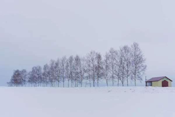 Biei Malé Město Obklopené Malebnou Krajinu Mírně Zvlněné Kopce Obrovské — Stock fotografie