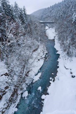 Shirahige şelale biei City Shirogane kaplıca köyünde deniz den 600 metre yükseklikte leven bulunan, bu şelale fazla 30 metre boyunda duruyor. Kayaların arasındaki boşluklardan akan su beyaz sakalı andırıyor..
