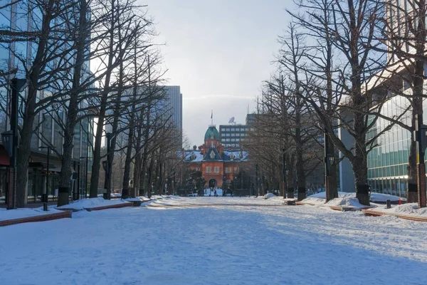 Het Voormalige Regeringsgebouw Van Hokkaido Het Bekendste Symbool Van Hokkaidos — Stockfoto