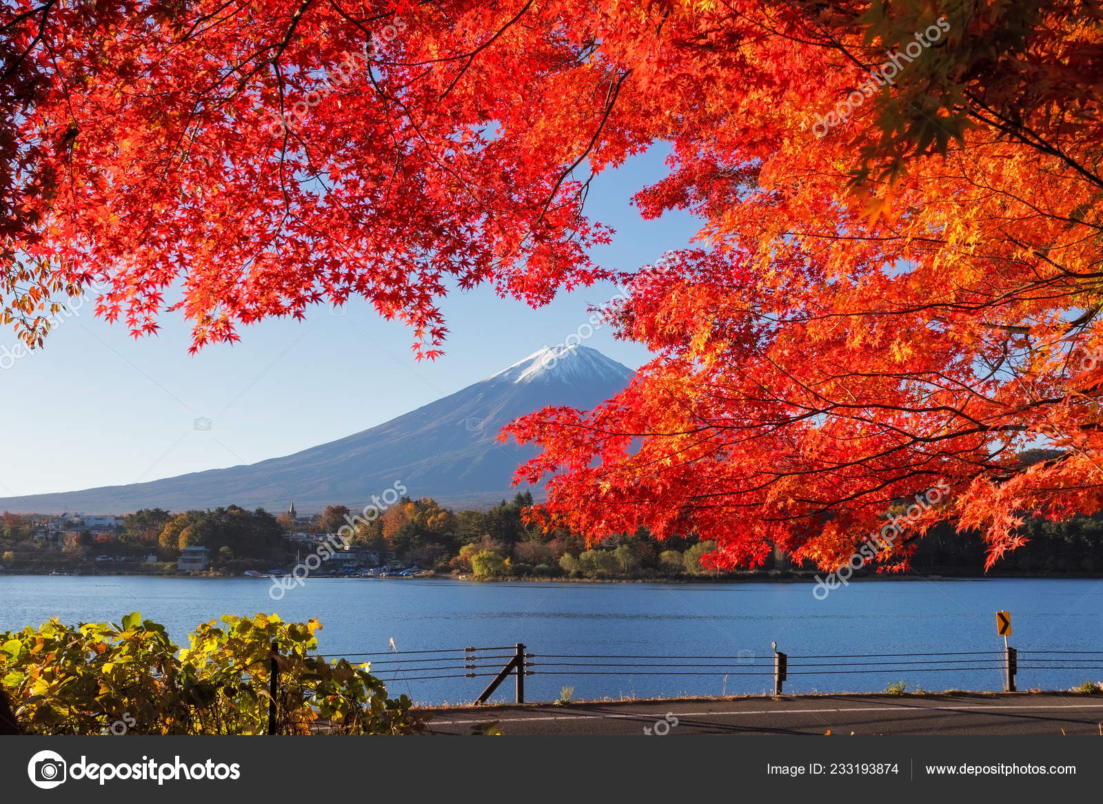 Photo Shot Area Fuji Autumn Time Start Snow Cap Top Stock Photo Image By C Anujakjaimook 233193874