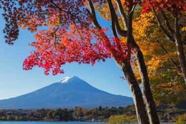 Bu fotoğraf Mt.Fuji çevresini üzerinden sonbaharda vuruldu. Kar cap Mt.Fuji üst kısmında başlama vakti. 5 Göl etrafında Mt.Fuji vardır.