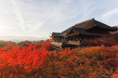 Bu fotoğraf Kyoto, Japonya'daki Kiyomizu Tapınağı'ndan çekildi. Akçaağaç yaprakları sonbahar rengine dönüşer ve akşamları yumuşak güneş ışığı çok güzeldir..