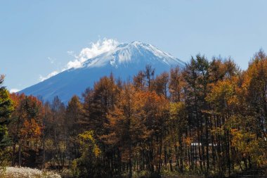 This photo was shot from the area around Mt.Fuji in Autumn. It is time to start snow cap on the top of Mt.Fuji. There are 5 lake around Mt.Fuji. clipart
