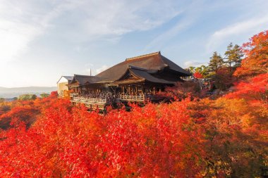 Bu fotoğraf Kyoto, Japonya'daki Kiyomizu Tapınağı'ndan çekildi. Akçaağaç yaprakları sonbahar rengine dönüşer ve akşamları yumuşak güneş ışığı çok güzeldir..