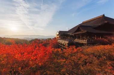 Bu fotoğraf Kyoto, Japonya'daki Kiyomizu Tapınağı'ndan çekildi. Akçaağaç yaprakları sonbahar rengine dönüşer ve akşamları yumuşak güneş ışığı çok güzeldir..