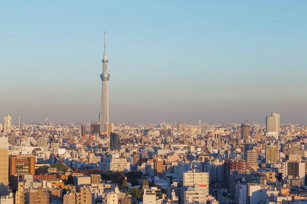 这张照片是从日本首都东京拍摄的 东京是世界上最大而繁忙的城市之一 但也是最美丽的城市 日本也不错 — 图库照片