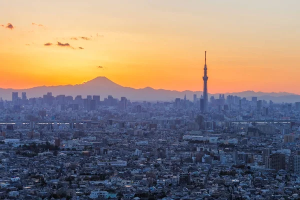 日本の首都である東京都市から撮影しました 東京は世界でも最も美しい Aslo 大きくて忙しい都市の一つです 日本語もいい — ストック写真