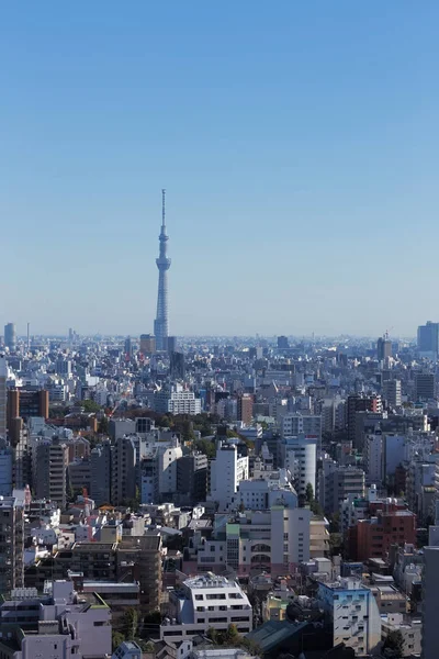 这张照片是从日本首都东京拍摄的 东京是世界上最大而繁忙的城市之一 但也是最美丽的城市 日本也不错 — 图库照片