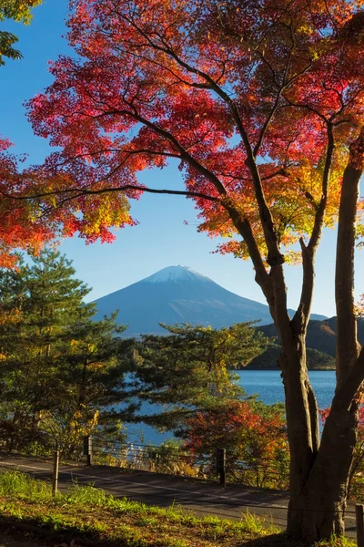 Esta Foto Fue Tomada Desde Área Alrededor Del Monte Fuji —  Fotos de Stock