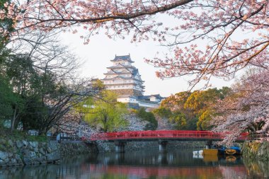 Sakura çiçeklenme sezonu ile Himeji kale