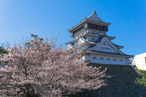 Sakura çiçekli Kokura kalesi