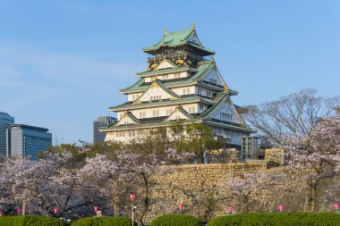 Sakura çiçeklenme ile Osaka kale