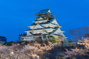 Sakura çiçeklenme ile Osaka kale