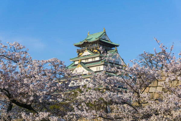 Замок Осака с цветущей сакурой
