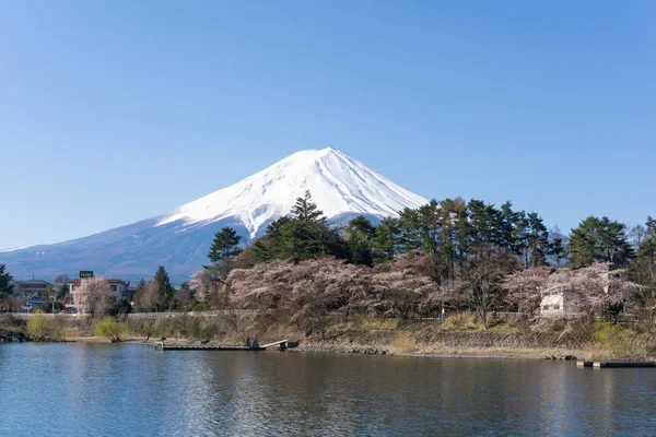 Mt. Fuji z Sakura kwitnący sezon — Zdjęcie stockowe