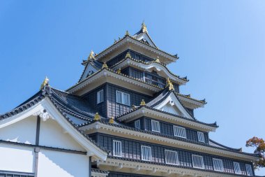 Sakura çiçeklenme sezonu ile Okayama kale
