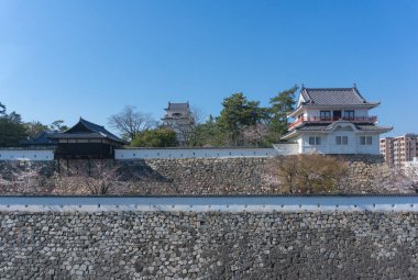 Fukuyama kale sakura çiçeklenme sezonu ile