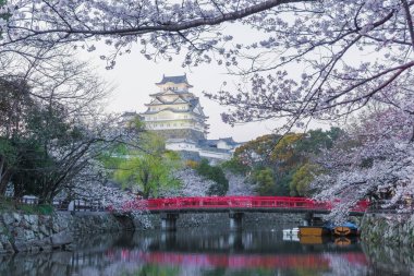 Sakura çiçeklenme sezonu ile Himeji kale