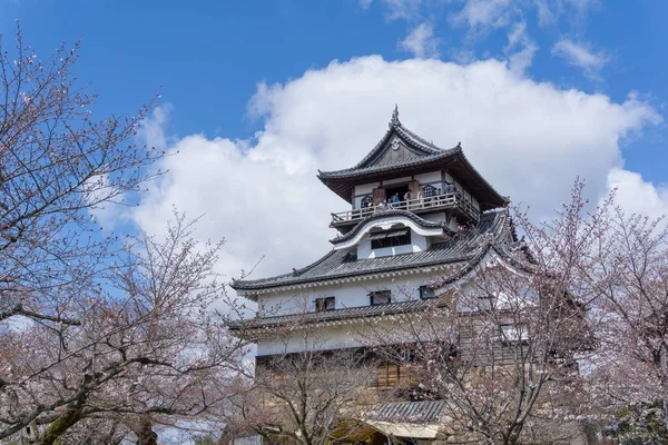 Hrad Inuyama s kvetoucí Sakura — Stock fotografie