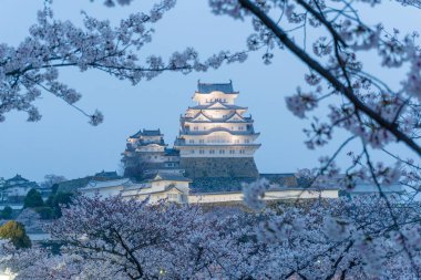 Sakura çiçeklenme sezonu ile Himeji kale