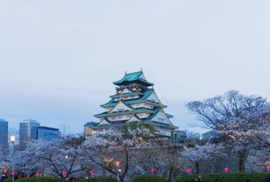 Sakura çiçeklenme ile Osaka kale
