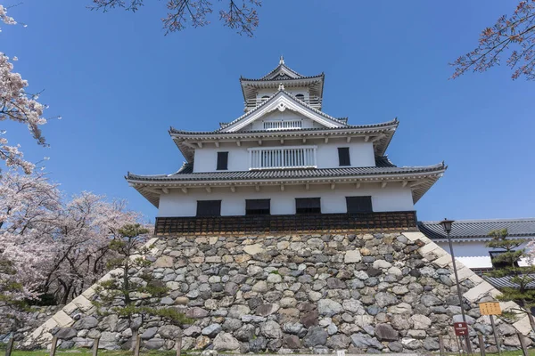 Nagahama castle with sakura blooming season — Stock Photo, Image