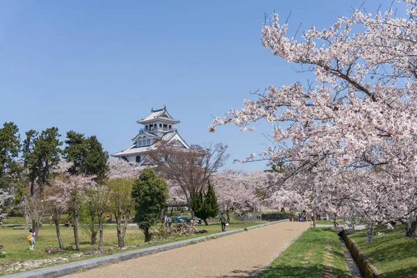 Nagahama castle with sakura blooming season — Stock Photo, Image