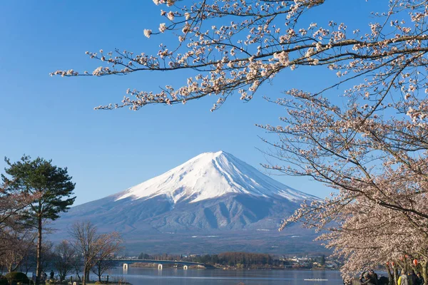 Mt. Fuji z Sakura kwitnący sezon — Zdjęcie stockowe