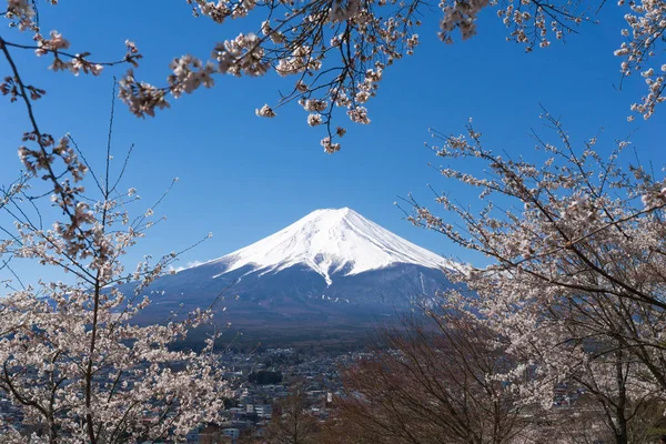 MT. Fuji s kvetoucí sezonou Sakura — Stock fotografie