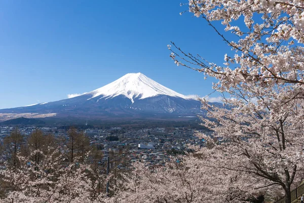 MT. Fuji s kvetoucí sezonou Sakura — Stock fotografie
