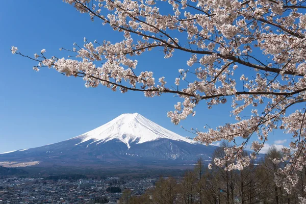 MT. Fuji s kvetoucí sezonou Sakura — Stock fotografie