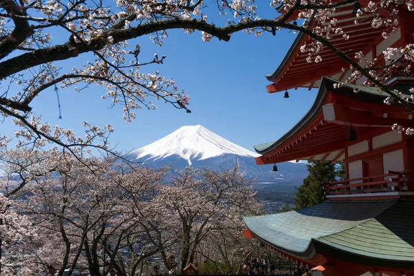 MT. Fuji s kvetoucí sezonou Sakura — Stock fotografie